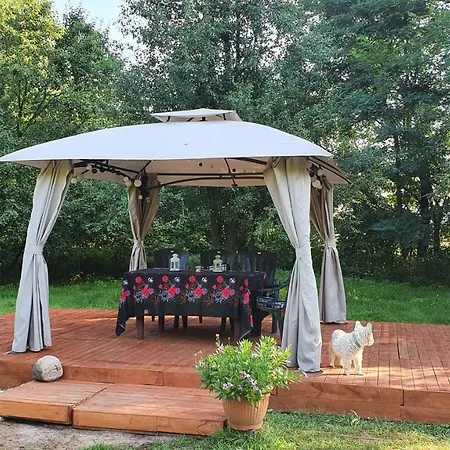 Wiolinkowo * Sarnaki