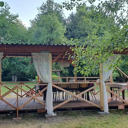 Lodge Wiolinkowo Sarnaki