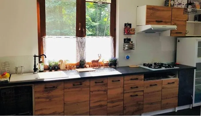 Wiolinkowo * Sarnaki