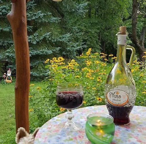 Wiolinkowo * Sarnaki