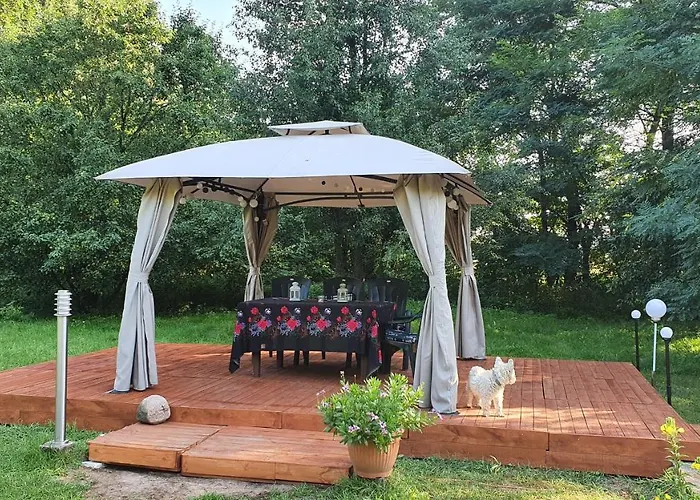 Wiolinkowo * Sarnaki